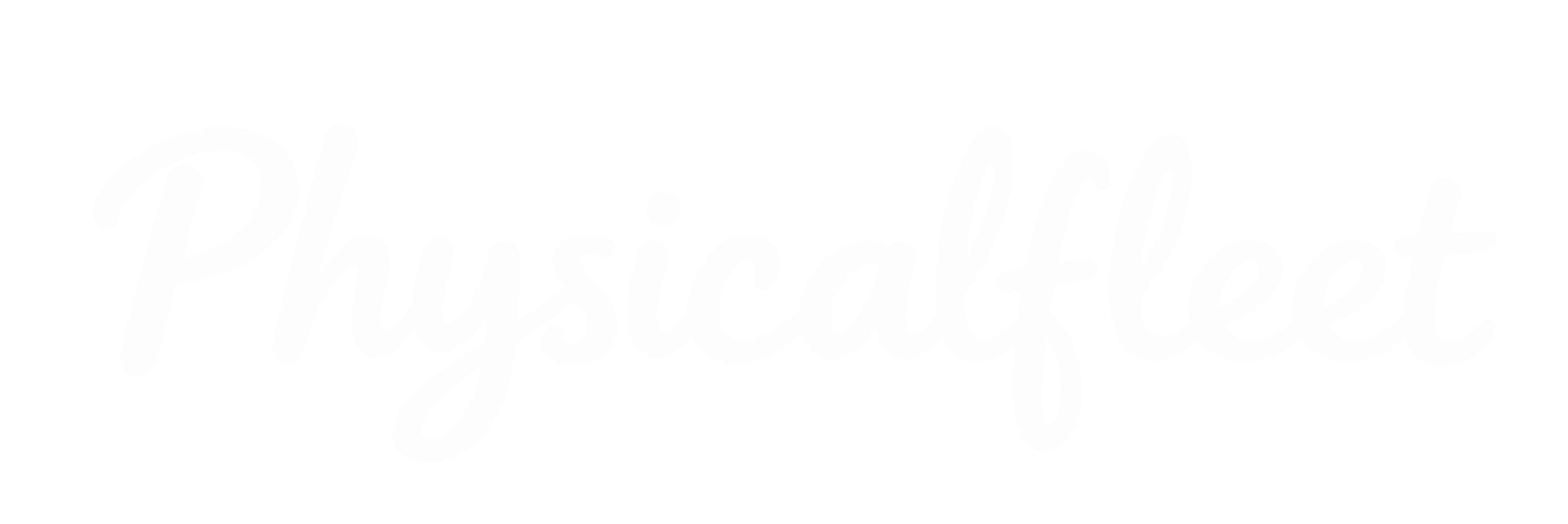 Physicalfleet
